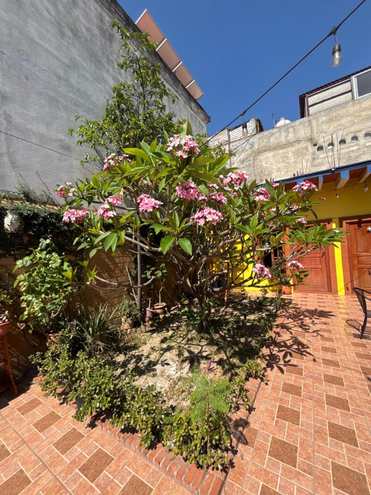 Hotel Posada "Mi Rosita" 오아하카주 외부 사진